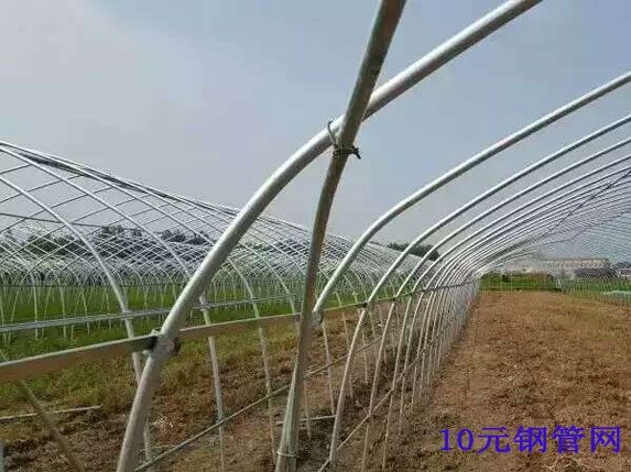 大棚斜撐、卡槽連接圖片